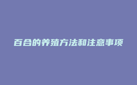 百合的养殖方法和注意事项