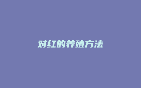 对红的养殖方法