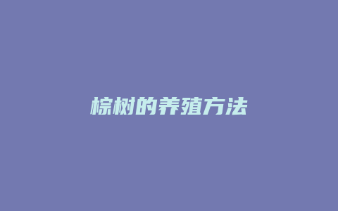 棕树的养殖方法