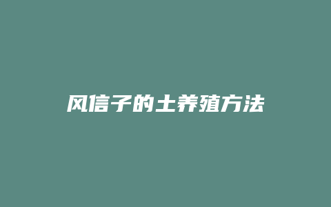 风信子的土养殖方法