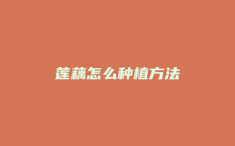 莲藕怎么种植方法