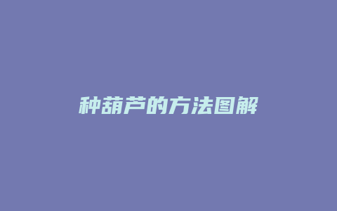 种葫芦的方法图解