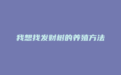 我想找发财树的养殖方法