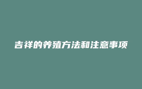 吉祥的养殖方法和注意事项