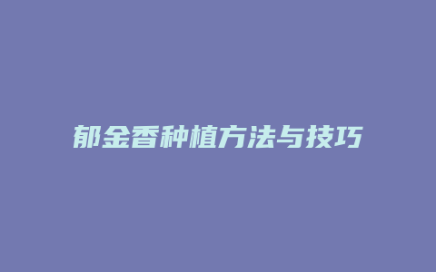 郁金香种植方法与技巧