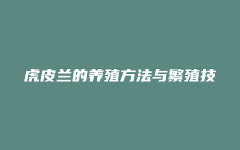 虎皮兰的养殖方法与繁殖技巧