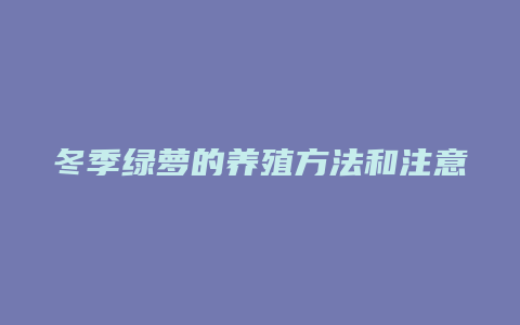 冬季绿萝的养殖方法和注意事项