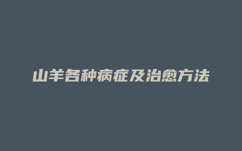 山羊各种病症及治愈方法