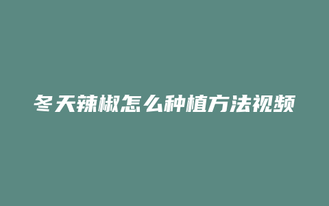 冬天辣椒怎么种植方法视频