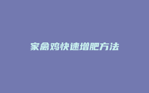 家禽鸡快速增肥方法