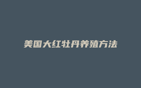 美国大红牡丹养殖方法