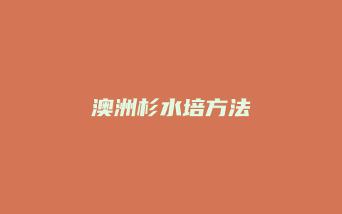 澳洲杉水培方法