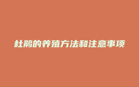 杜鹃的养殖方法和注意事项