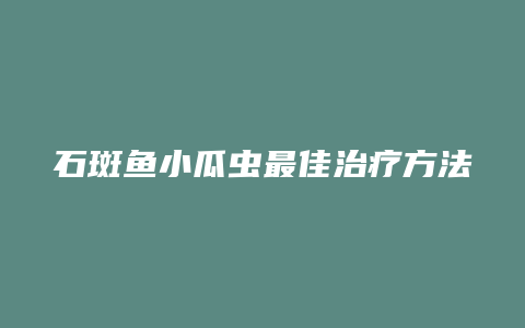 石斑鱼小瓜虫最佳治疗方法