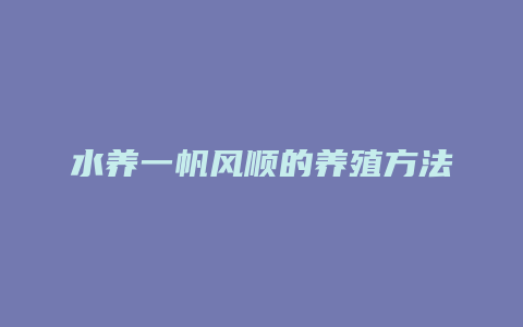 水养一帆风顺的养殖方法