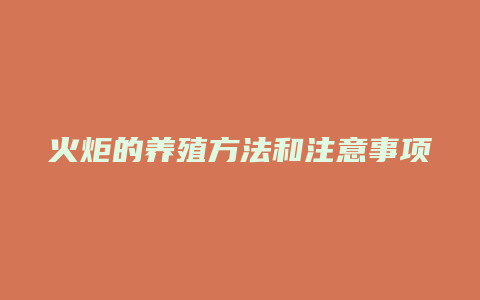 火炬的养殖方法和注意事项