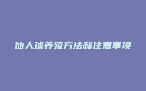 仙人球养殖方法和注意事项