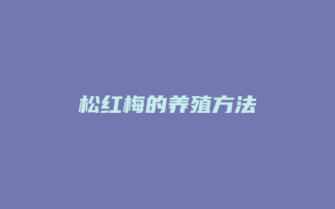 松红梅的养殖方法