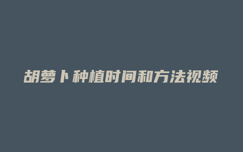 胡萝卜种植时间和方法视频