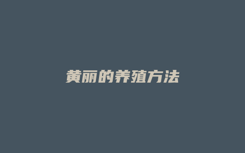 黄丽的养殖方法