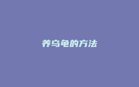 养乌龟的方法