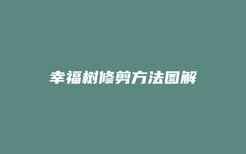 幸福树修剪方法图解