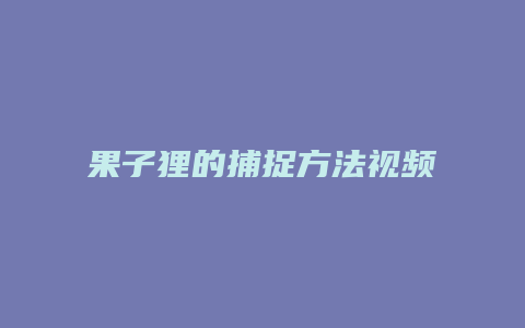 果子狸的捕捉方法视频