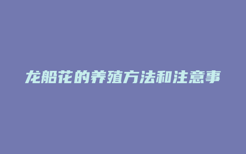 龙船花的养殖方法和注意事项