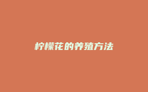 柠檬花的养殖方法