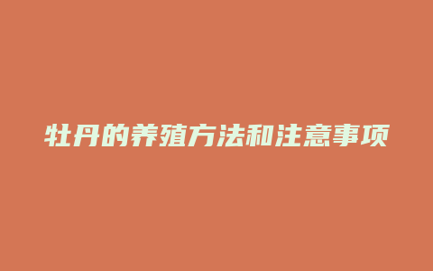 牡丹的养殖方法和注意事项