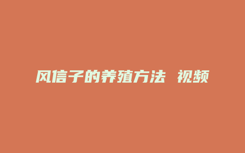 风信子的养殖方法 视频