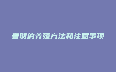 春羽的养殖方法和注意事项