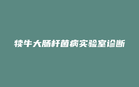 犊牛大肠杆菌病实验室诊断方法