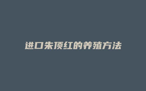 进口朱顶红的养殖方法