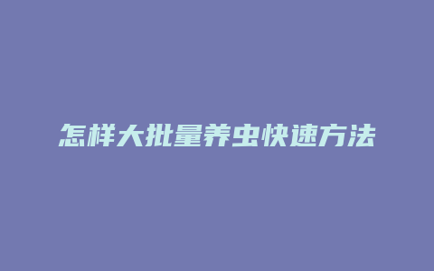 怎样大批量养虫快速方法