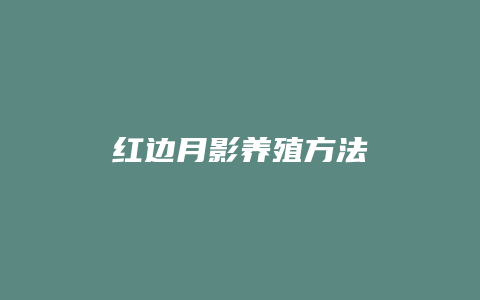 红边月影养殖方法