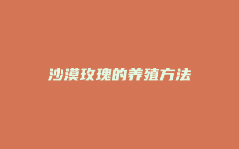 沙漠玫瑰的养殖方法