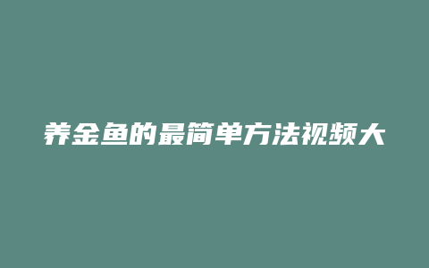 养金鱼的最简单方法视频大全