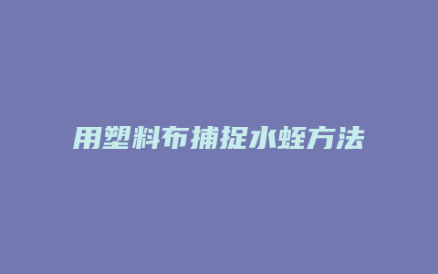 用塑料布捕捉水蛭方法