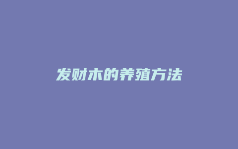 发财木的养殖方法