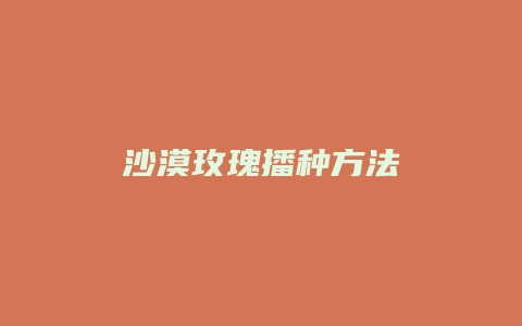 沙漠玫瑰播种方法