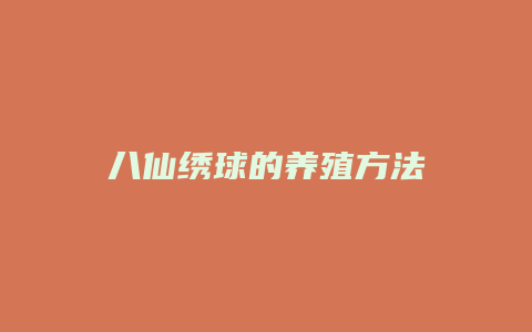 八仙绣球的养殖方法