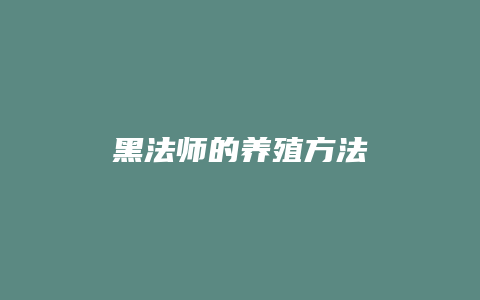 黑法师的养殖方法