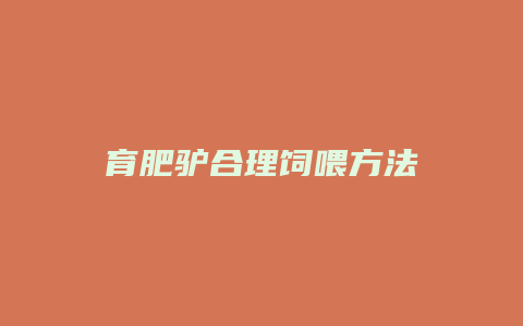 育肥驴合理饲喂方法