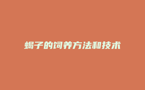 蝎子的饲养方法和技术