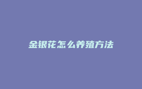 金银花怎么养殖方法