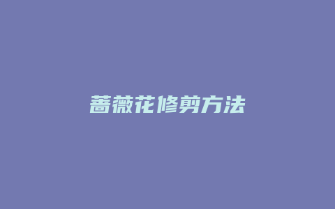 蔷薇花修剪方法