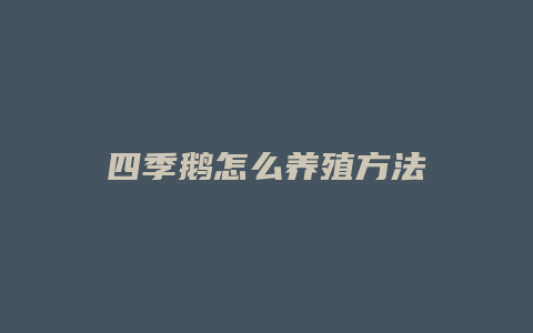 四季鹅怎么养殖方法