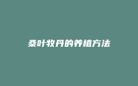 桑叶牧丹的养植方法