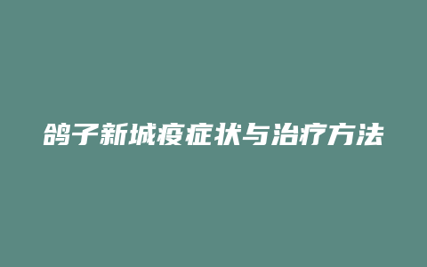 鸽子新城疫症状与治疗方法